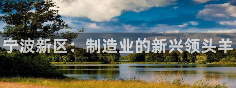 新宝GG上级