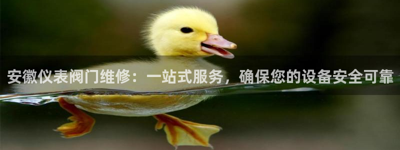 新宝GG电话