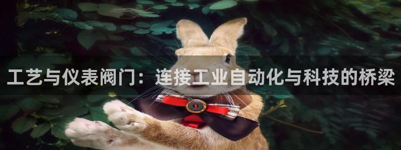 新宝gg扣钱