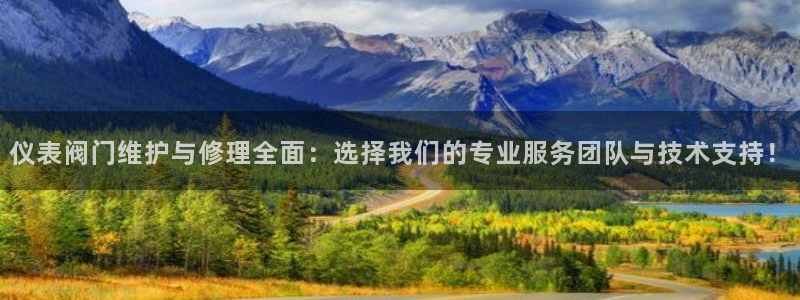 新宝GG用哪个网址登录