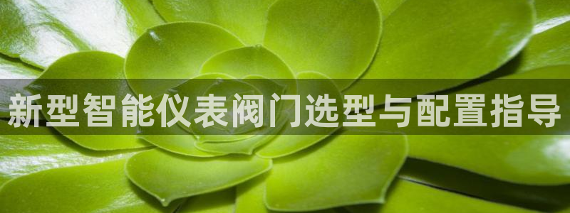 新宝六与新宝gg