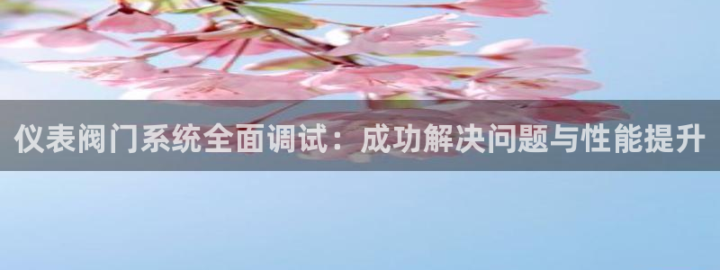 gg新宝