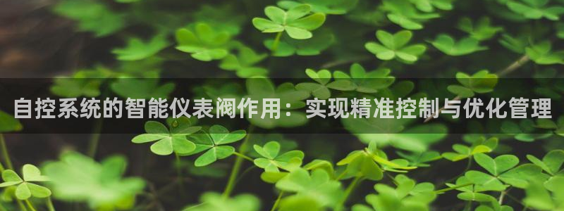 新宝gg代理条件