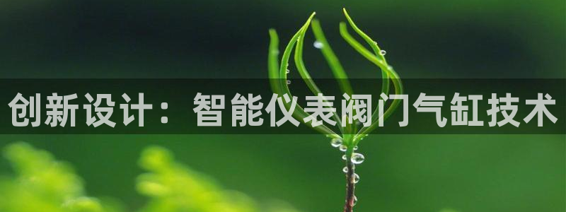 新宝gg测速登录