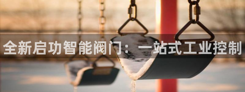 新宝gg主