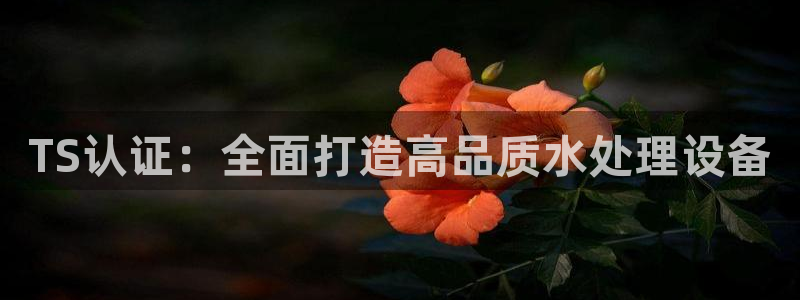 谁有新宝GG