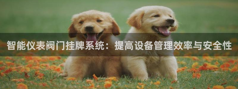 新宝gg_