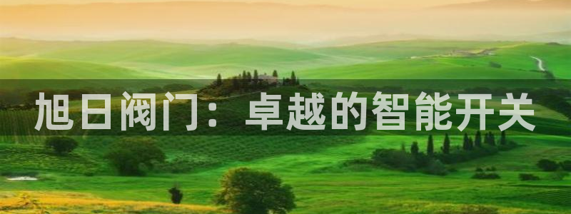 新宝gg娱乐客户端下载