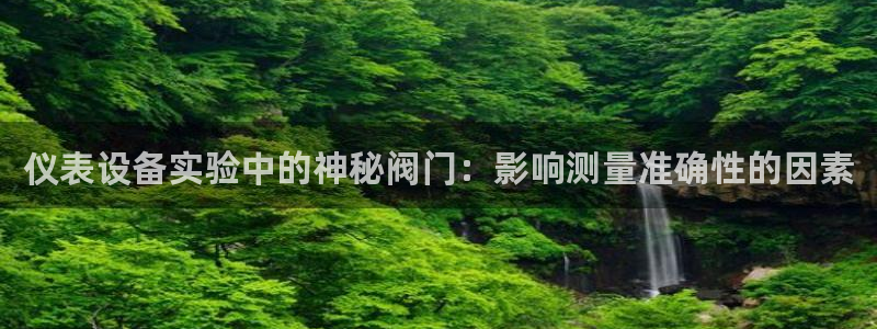 新宝gg软件