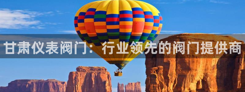 新宝gg公司