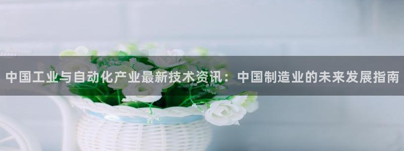 新宝_gg