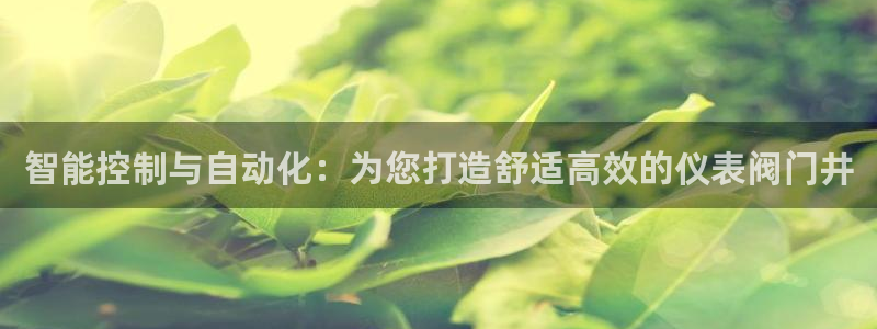 新宝gg信息
