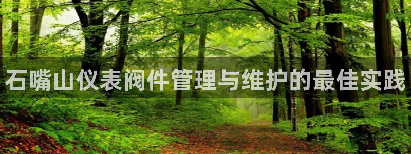 新宝GG于六七五一38