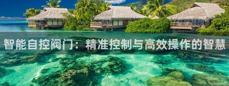 新宝GG冰冰