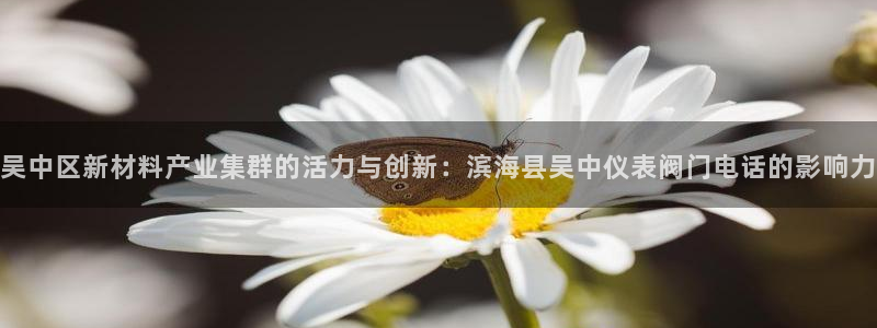 新宝gg老板