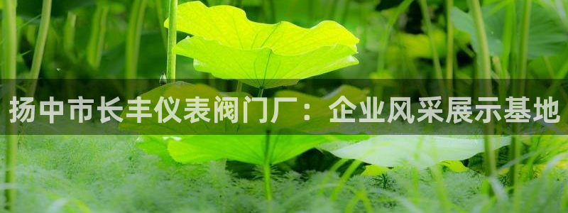 新宝_gg