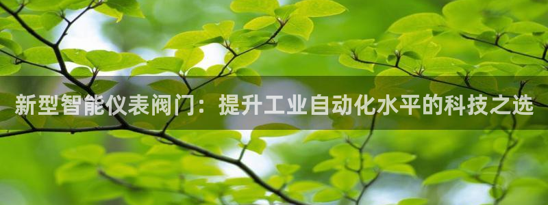 新宝gg龙腾