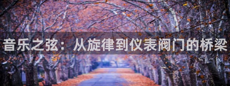 新宝gg官方主管