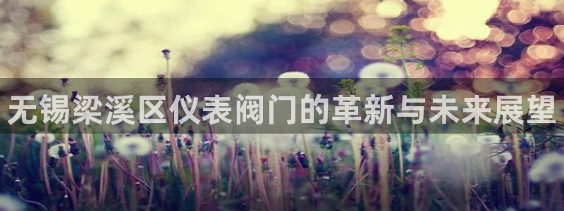 新宝gg主管_