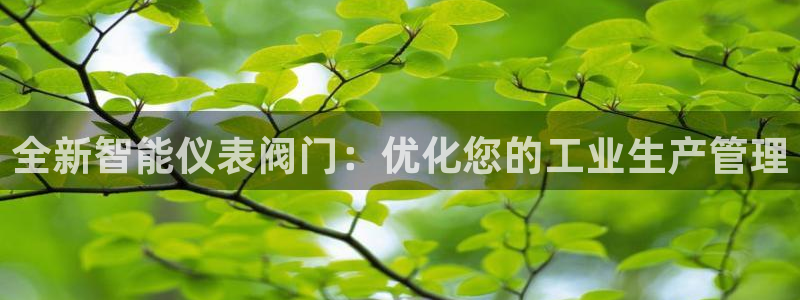 新宝奇迹GG