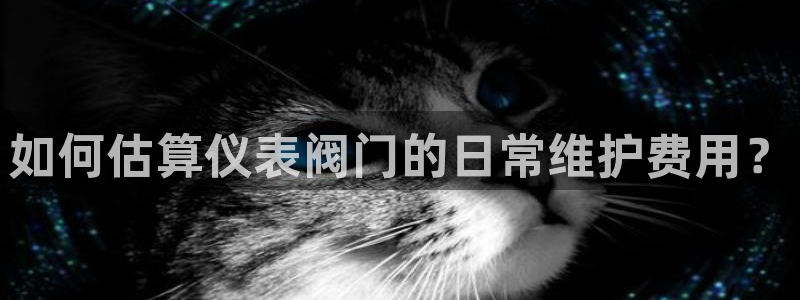 新宝gg -创造