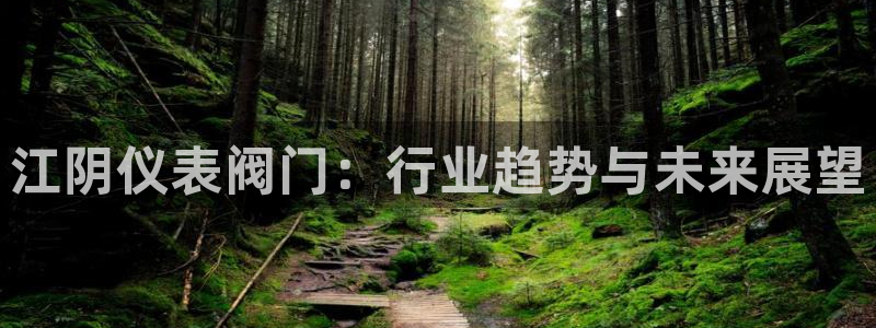 新宝gg招商致胜团队