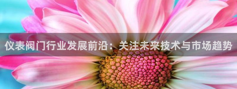 新宝gg赚钱