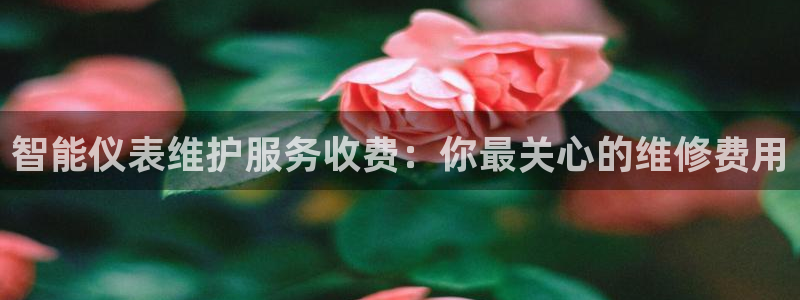 www.新宝gg