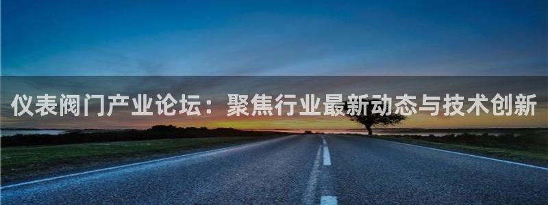 新宝gg作弊