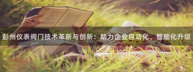 新宝gg娱乐盟主