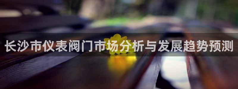 新宝gg平台开发