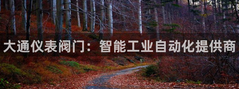 gg新宝gg