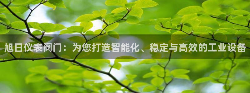 新宝六与新宝gg
