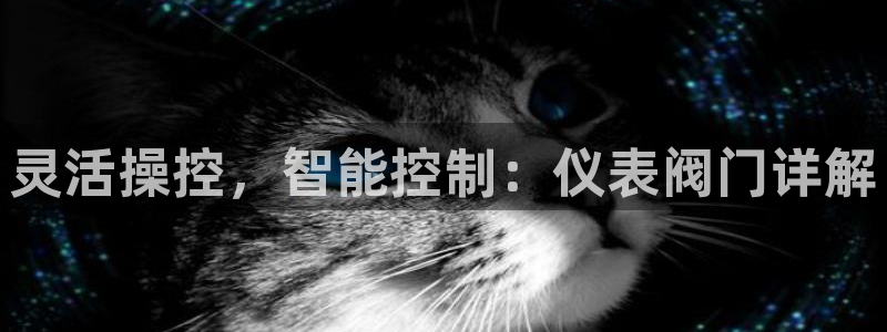 新宝gg客户端下载
