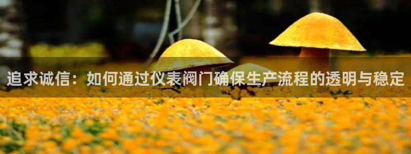 新宝一GG