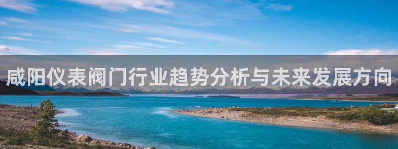 新宝gg投注