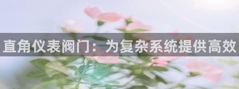 新宝GG无法充值