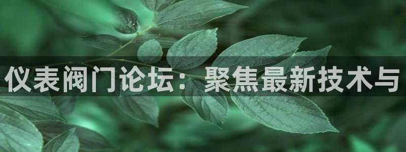 新宝GG链接