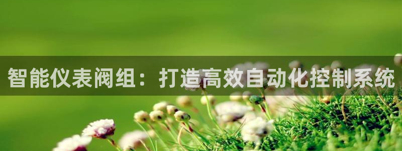 新宝gg 主管