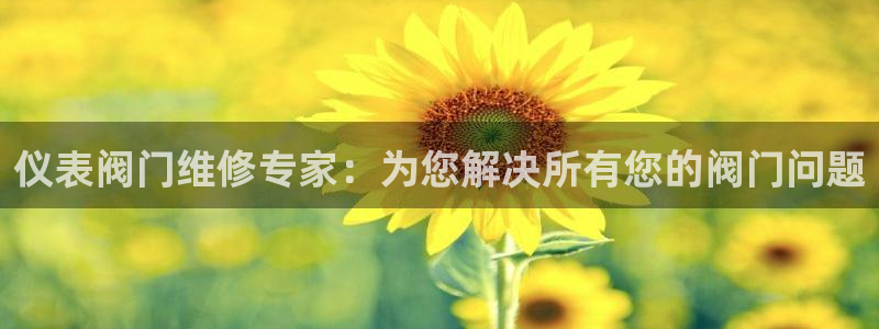 娱乐世界新宝gg