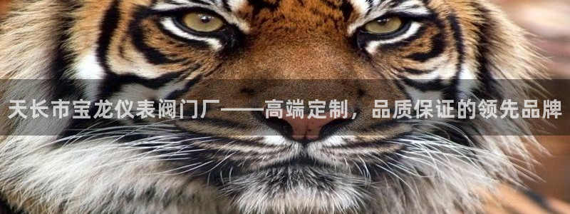 新宝gg官方下载