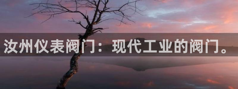 新宝gg 198