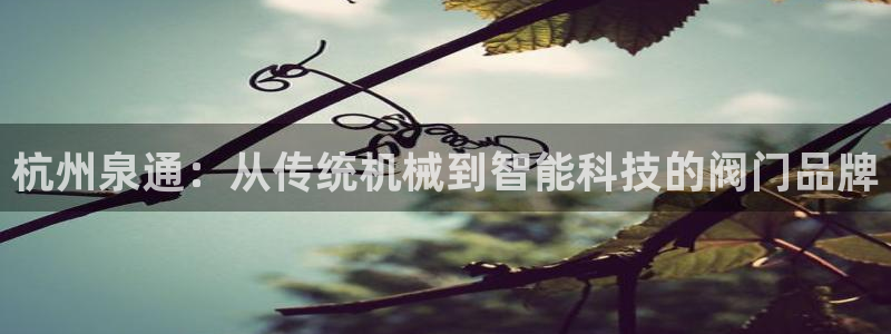 新宝gg怎么做代理