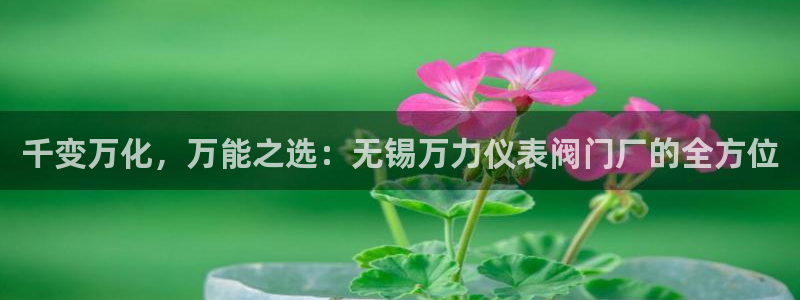 新宝gg怎么做代理
