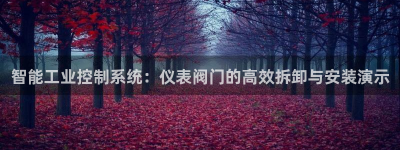 新宝gg会员
