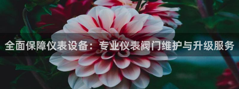 新宝gg娱乐上皇巢网