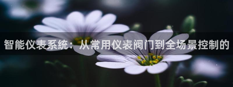 新宝哥gg