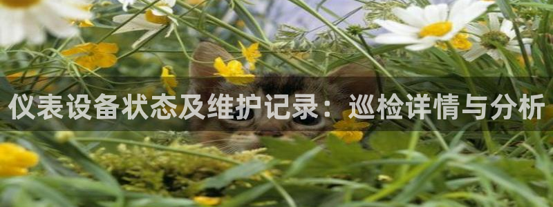 新宝gg主管花木兰