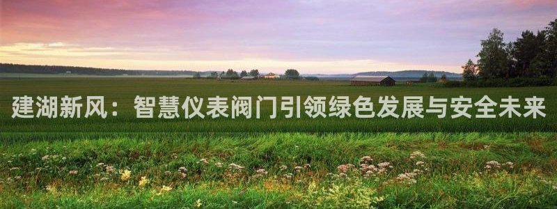 新宝gg指定平台