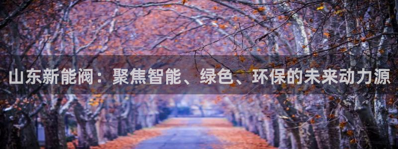 新宝gg指定平台